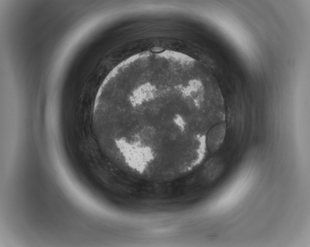 X0000111650383200908281054