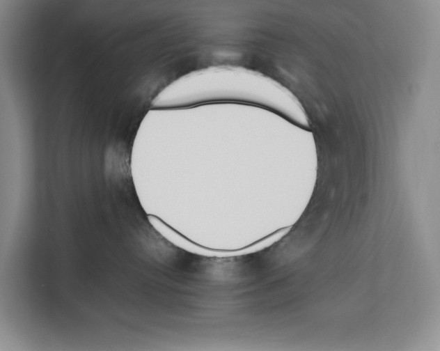 X0000111650384200908281054