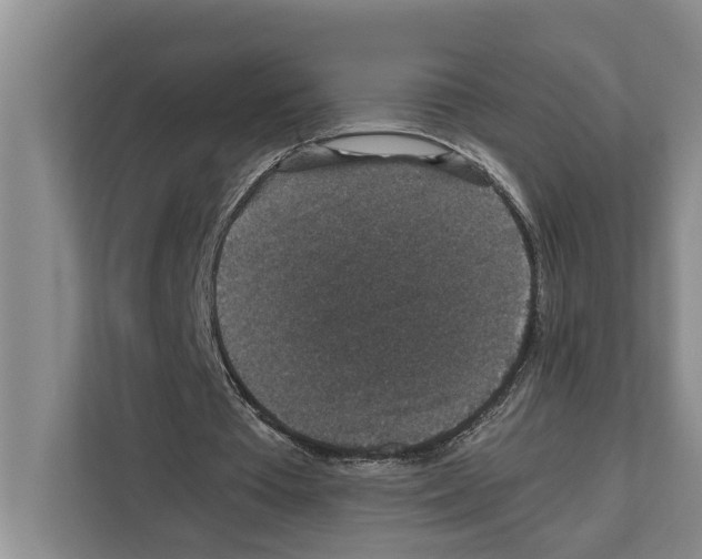 X0000111650385200908281053