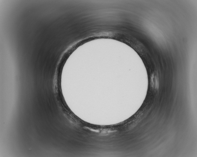X0000111650388200908281053
