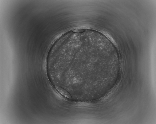 X0000111650389200908281053