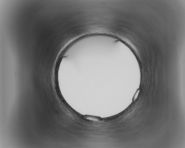 X0000111650391200908281053