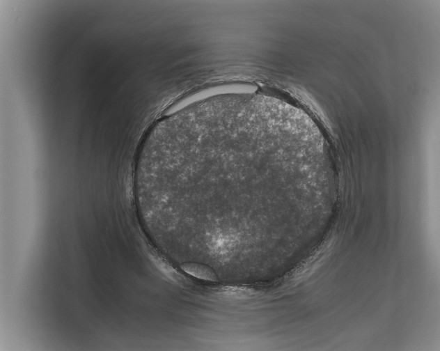 X0000111650393200908281053