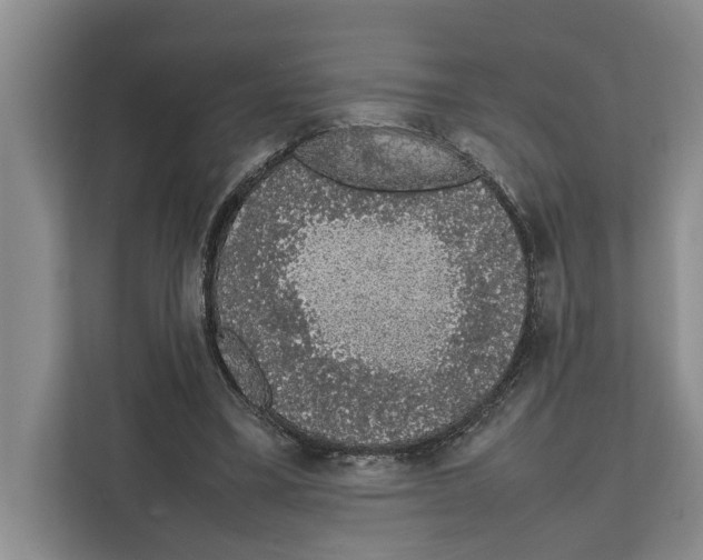 X0000111650395200908281053