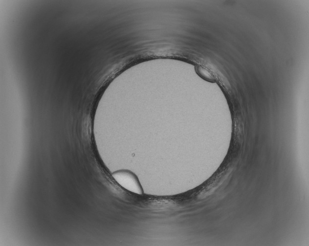 X0000111650397200908281053