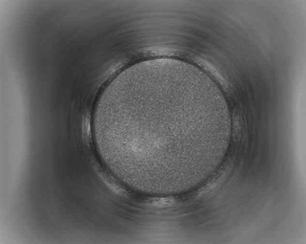 X0000111650398200908281053