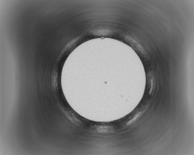 X0000111650400200908281053