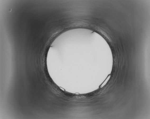 X0000111650403200908281053