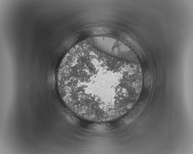 X0000111650405200908281053