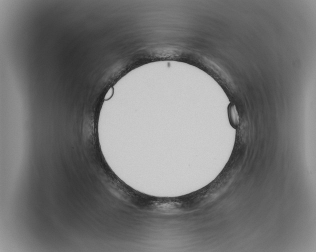 X0000111650407200908281053