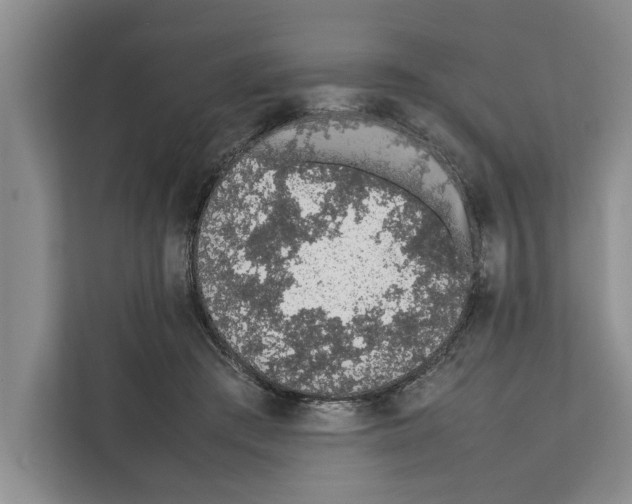 X0000111650409200908281053