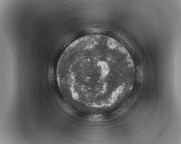 X0000111650410200908281053