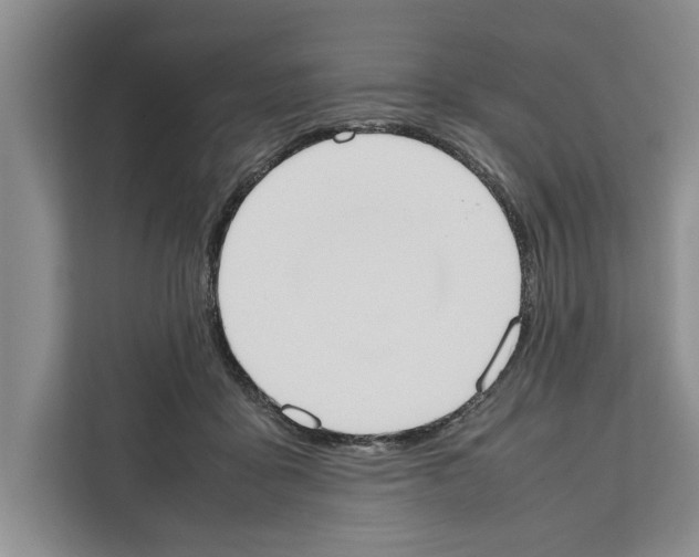 X0000111650411200908281053