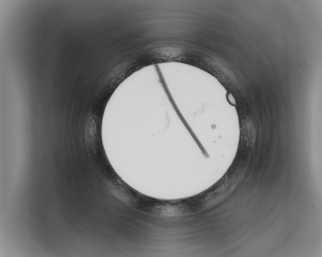 X0000111650412200908281053