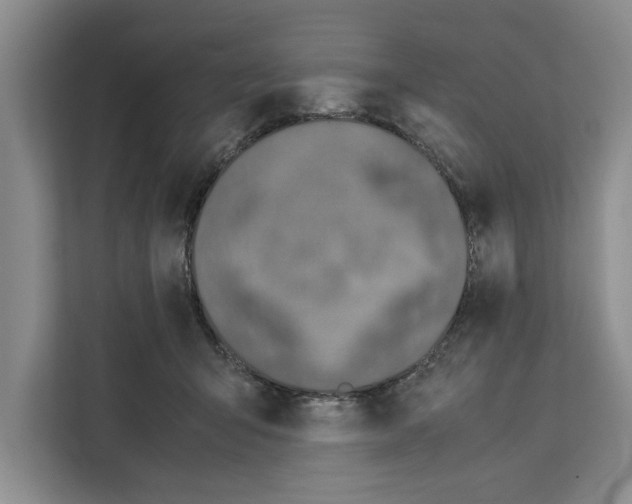 X0000111650415200908281053