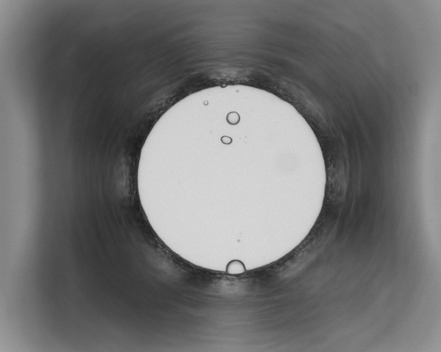X0000111650416200908281053