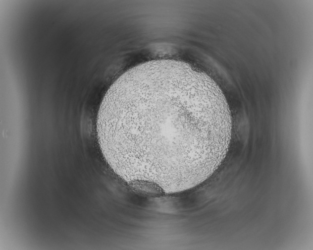 X0000111650417200908281053