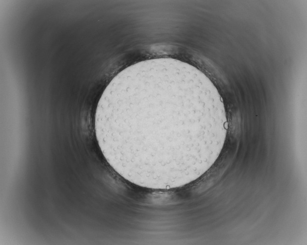 X0000111650418200908281053
