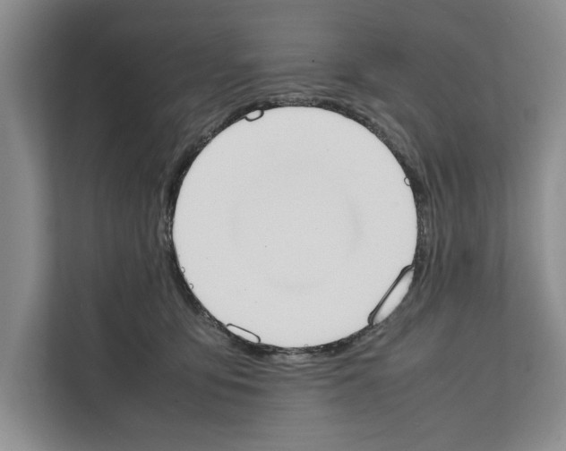 X0000111650419200908281053