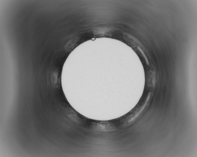 X0000111650420200908281053