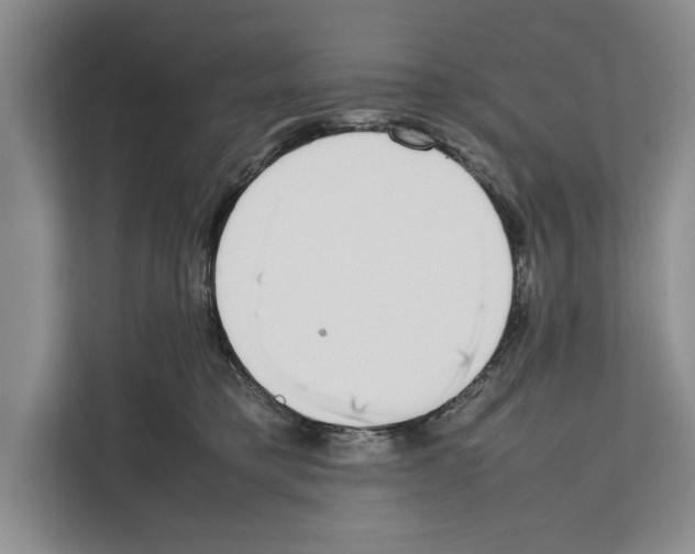 X0000111650421200908281053