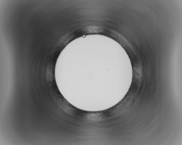 X0000111650422200908281053