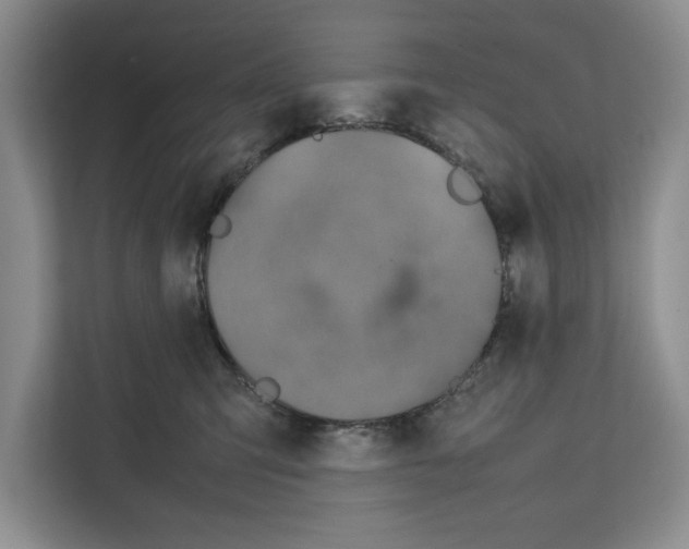 X0000111650423200908281053