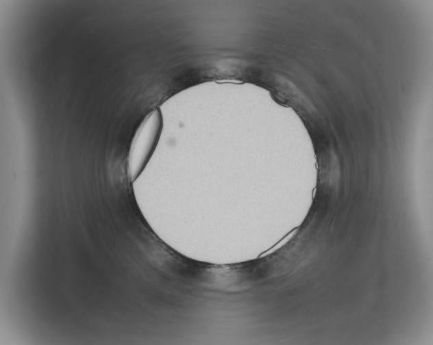 X0000111650425200908281053