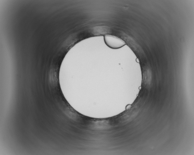 X0000111650426200908281053