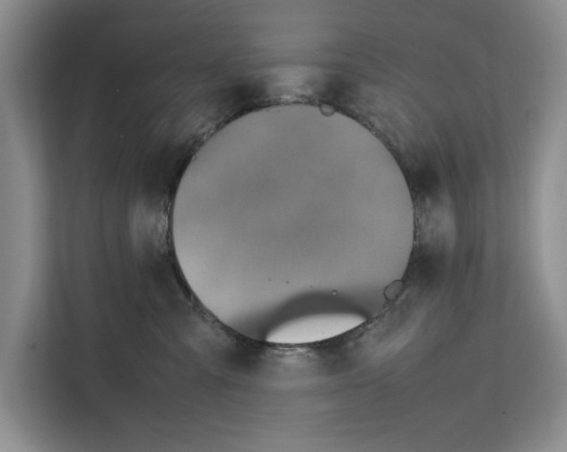 X0000111650427200908281053