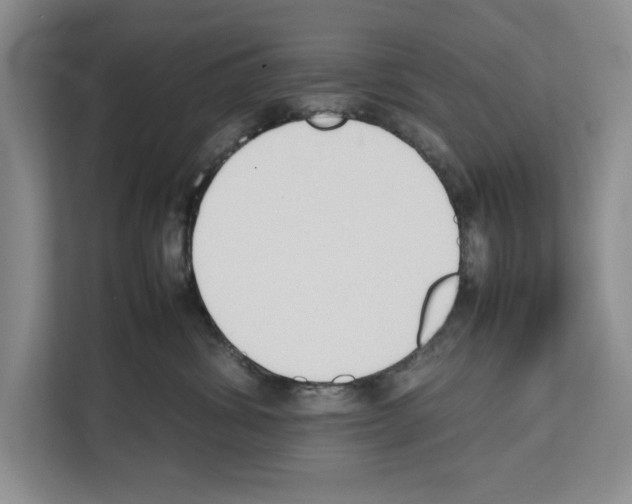 X0000111650428200908281053