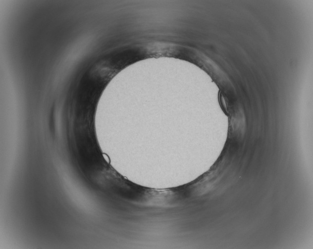 X0000111650429200908281053