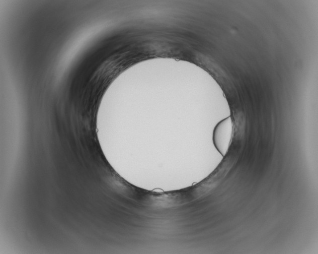 X0000111650430200908281053