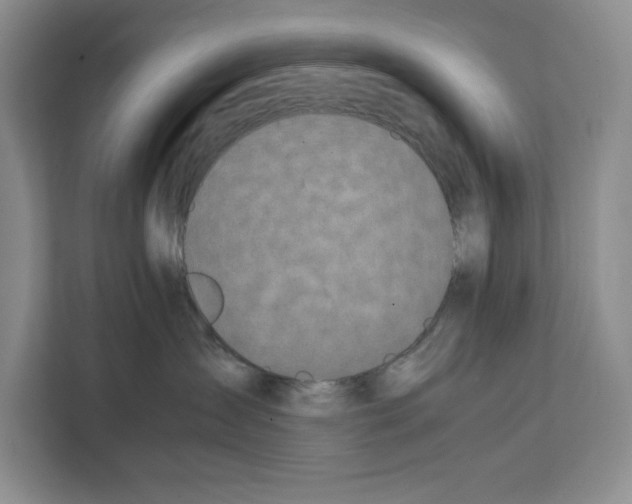 X0000111650431200908281053