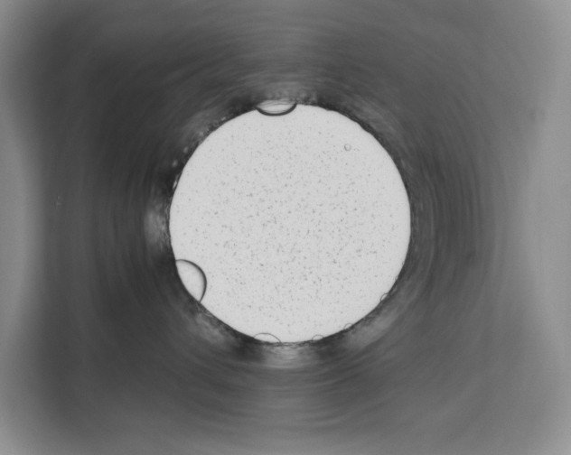 X0000111650432200908281053