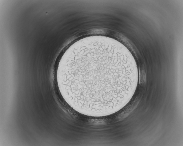 X0000111650435200908281052
