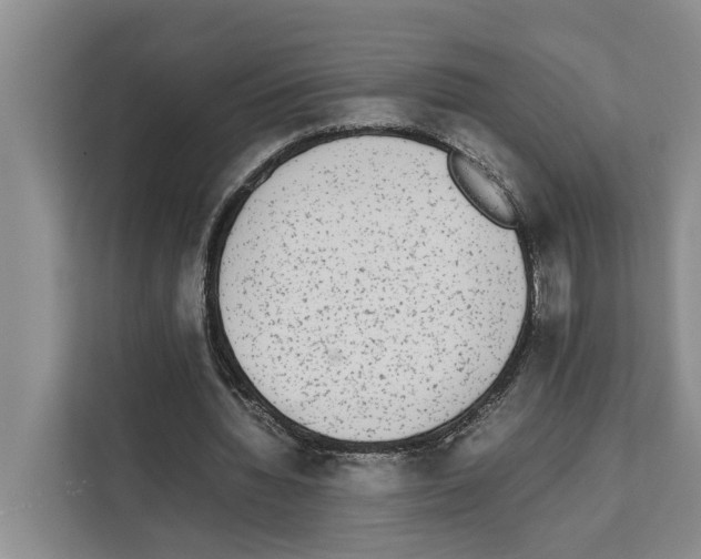 X0000111650436200908281052