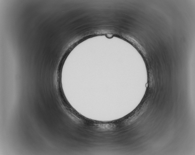 X0000111650439200908281052