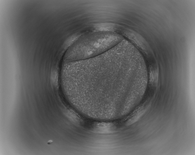 X0000111650444200908281052