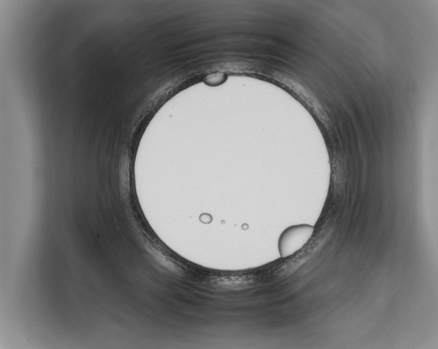 X0000111650445200908281052