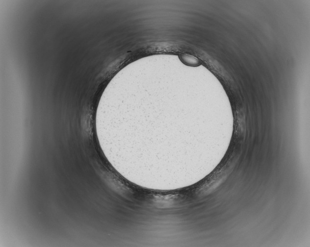 X0000111650450200908281052