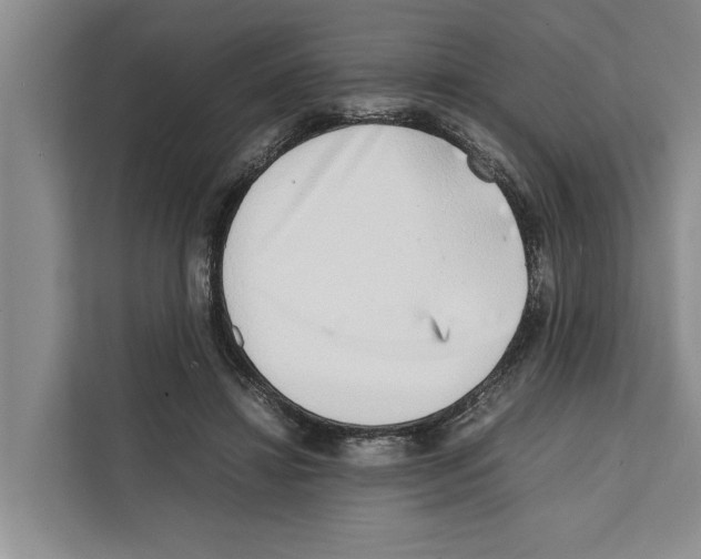X0000111650452200908281052