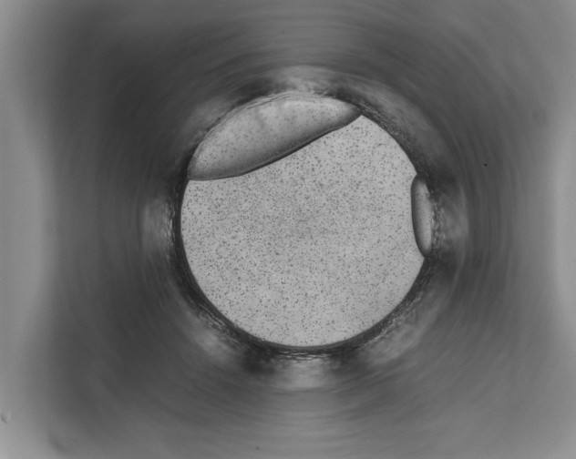 X0000111650456200908281052