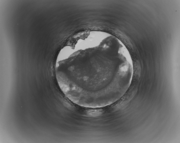 X0000111650465200908281053