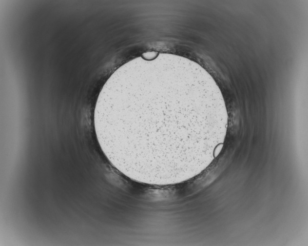 X0000111650466200908281053