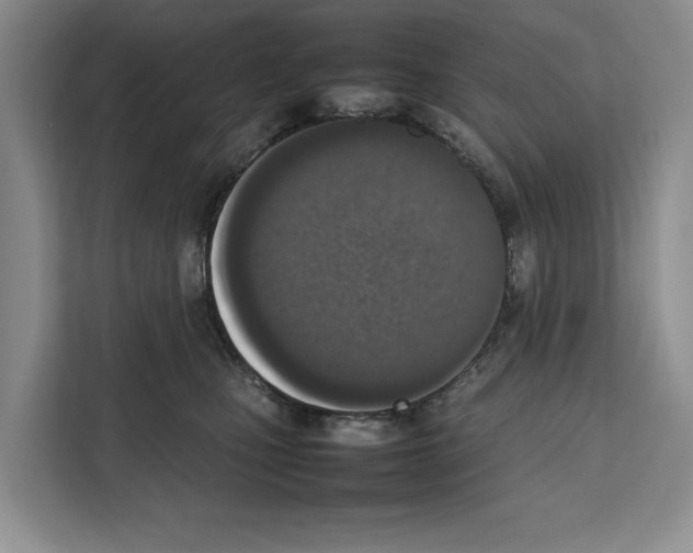 X0000111650471200908281053
