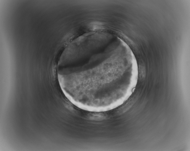 X0000111650475200908281053