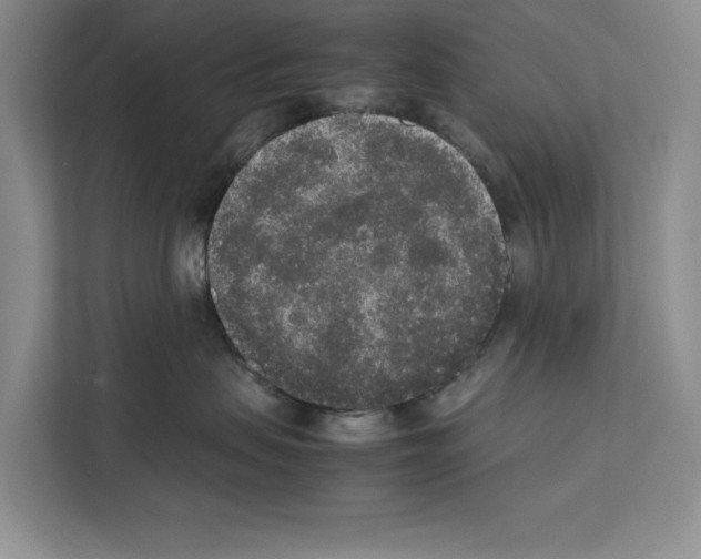 X0000111650479200908281053