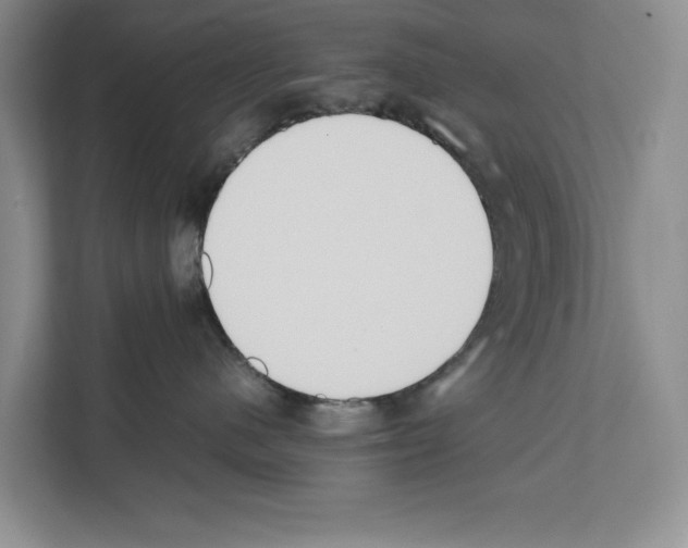 X0000111650480200908281053