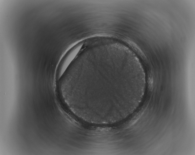 X0000111650484200908281052